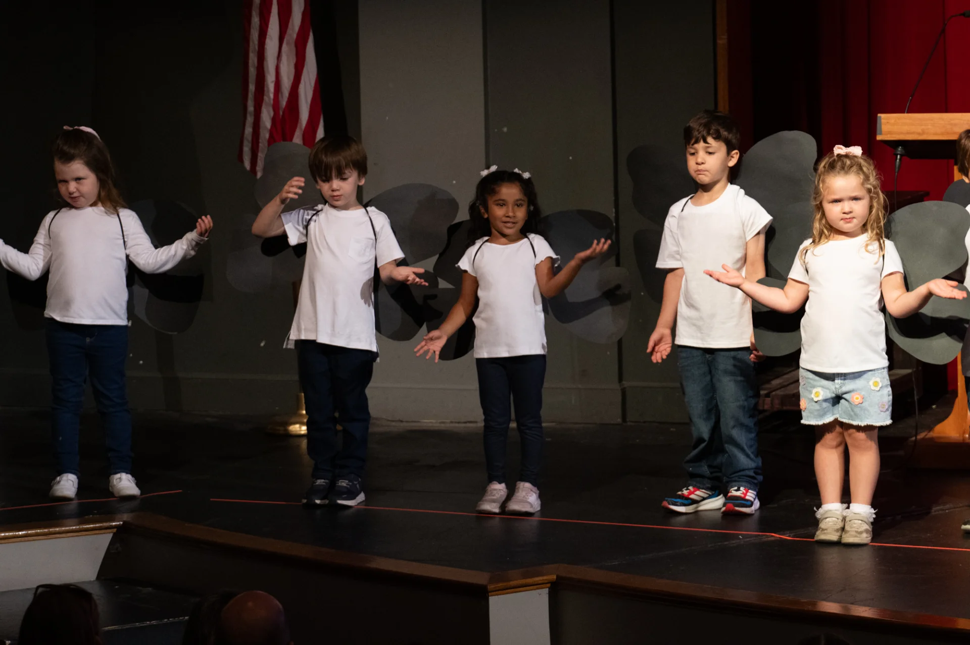 Butterfly 2026 57.webp